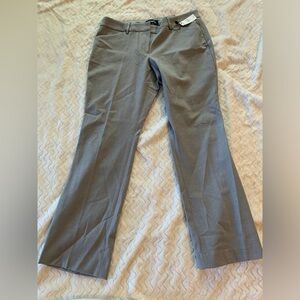 Express Editor Pants